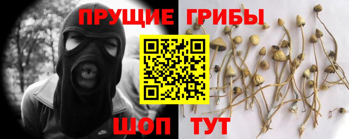 Ишим  Псилоцибиновые грибы прущие грибы  Вход с VPN 